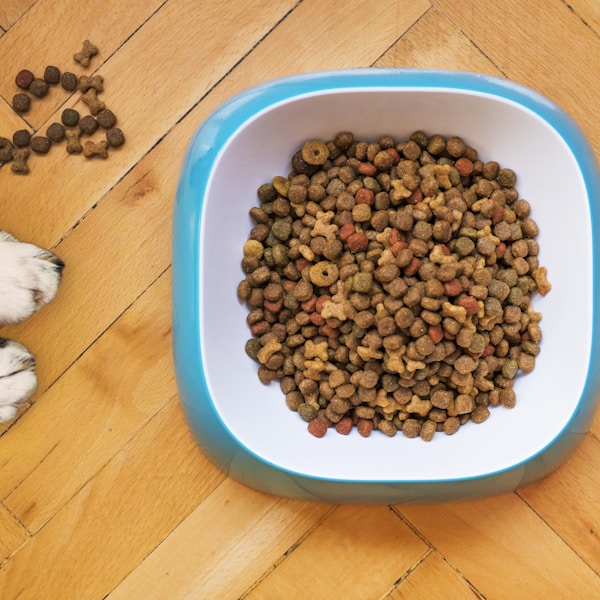 Premium Tavuklu Mama (15kg)